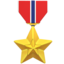 🎖️ 🎖️