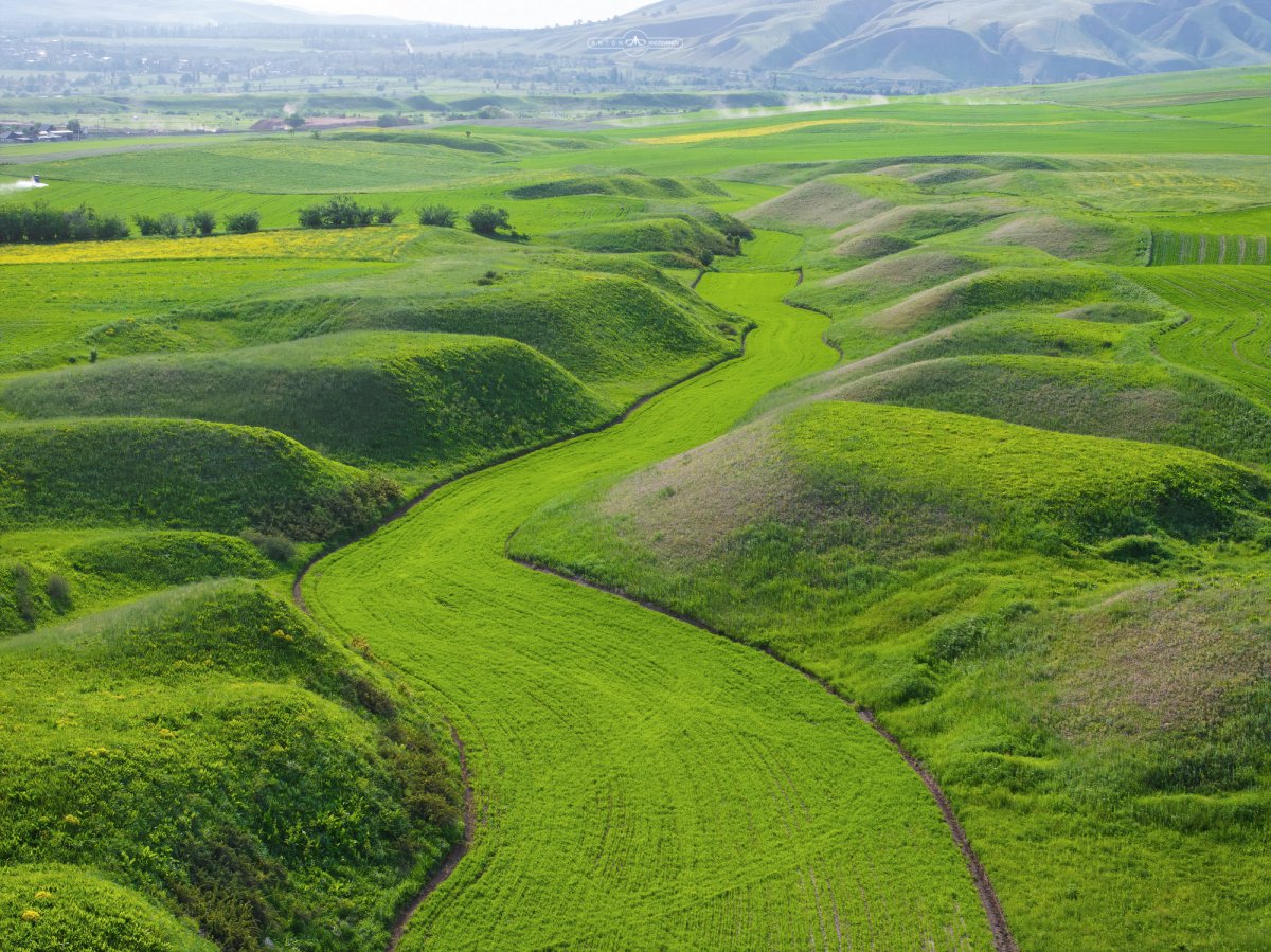 Green River