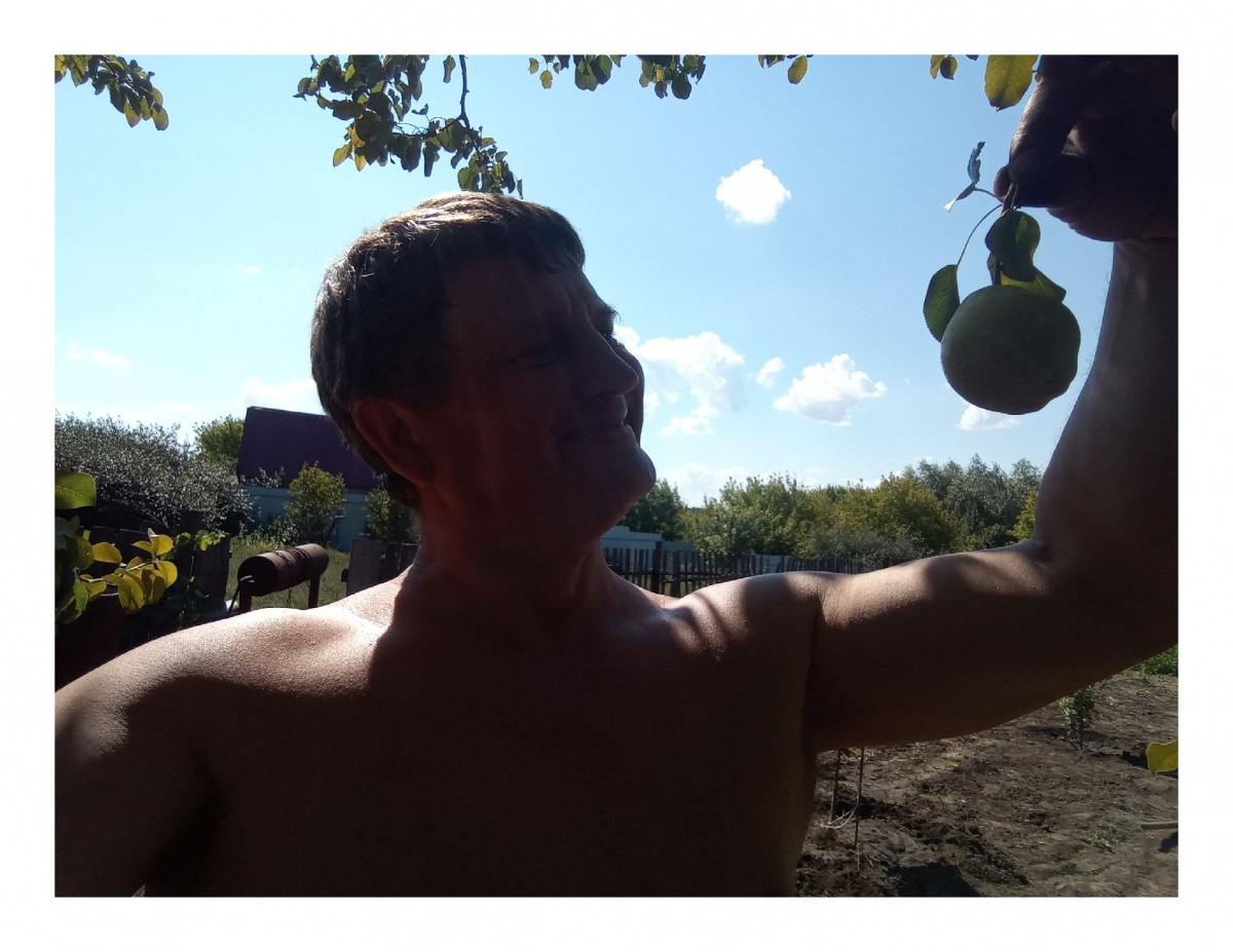Груши