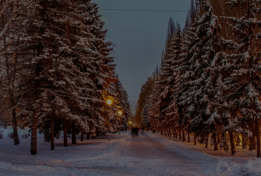 Зимняя аллея
