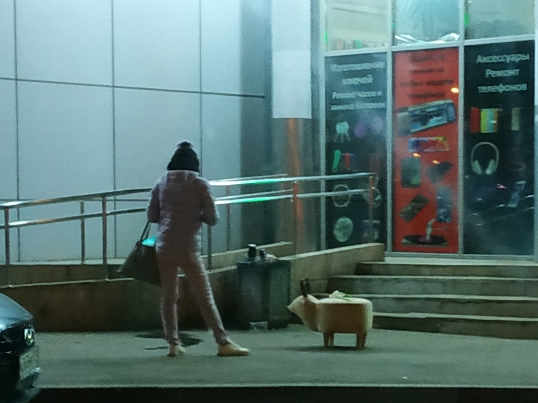 Девушка и олень