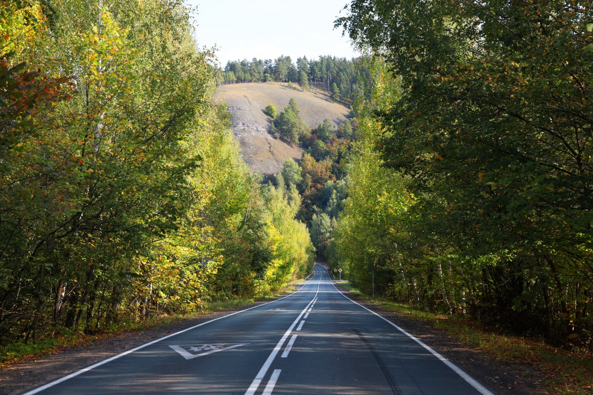 Дорога в Осень