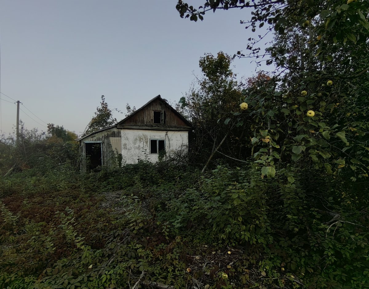 Дыхание осени