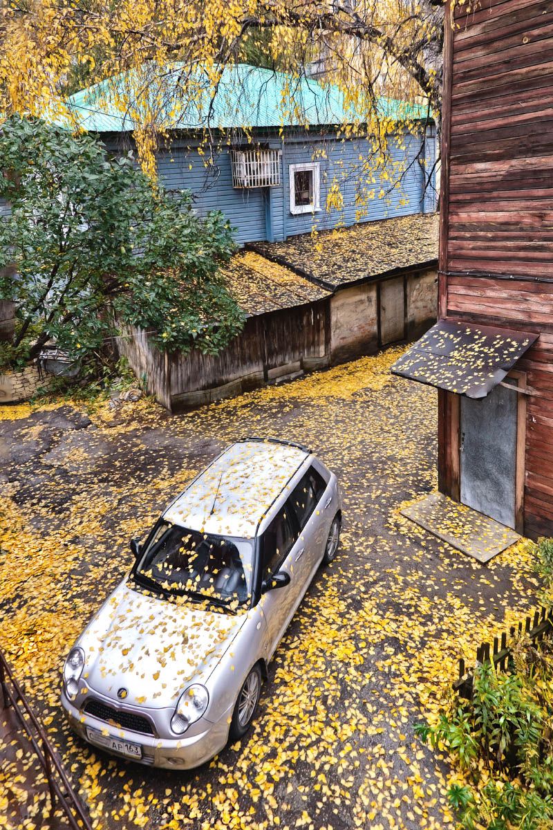 Осень в нашем дворе