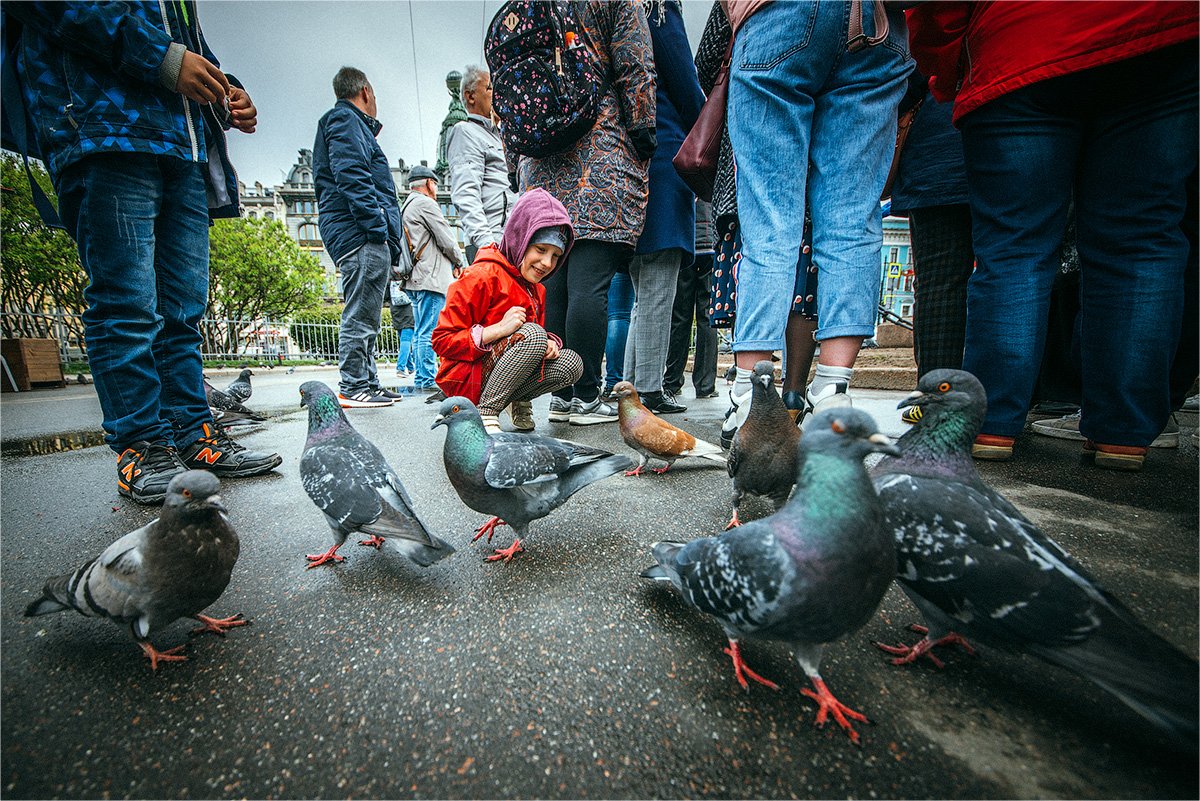 питерские впечатления провинциала
