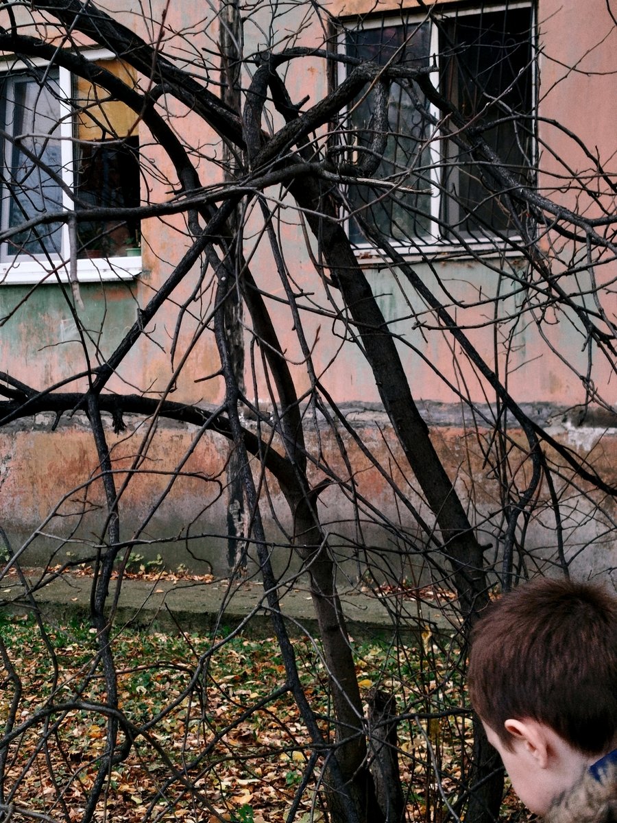 Без названия.