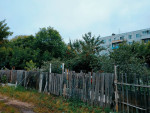 Абрикос