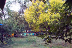 Сентябрь