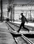 Полосатая жизнь