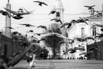 про настроение в Санкт-Петербурге