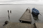 "я мог бы выпить море.."(с)
