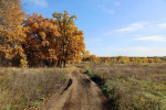 осень