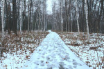 Первый снег